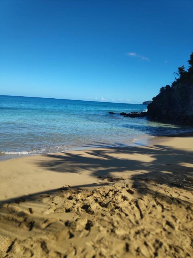 Appartamento Les Galets Deshaies Esterno foto
